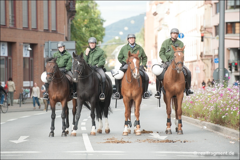 NPD-Demo in Heidelberg gescheitert