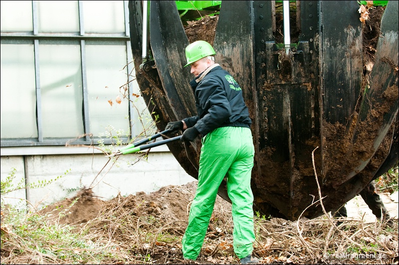 Kappen der Restwurzeln