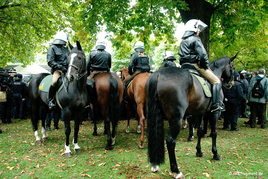 Mounted police on assignment